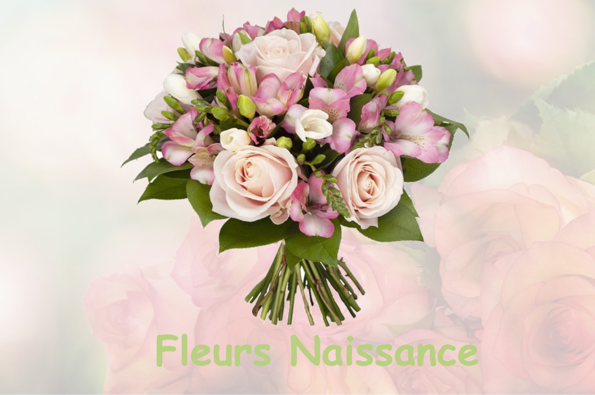 fleurs naissance NOROY-LE-BOURG